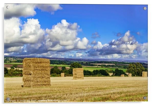 Large Hay Bales Waiting to be Harvested Under Ominous Summer Skies. Acrylic by Steve Gill