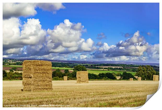 Large Hay Bales Waiting to be Harvested Under Ominous Summer Skies. Print by Steve Gill