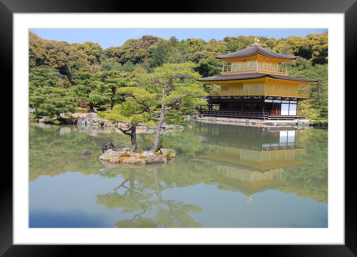 Golden Palace Pond Framed Mounted Print by Jonah Anderson Photography