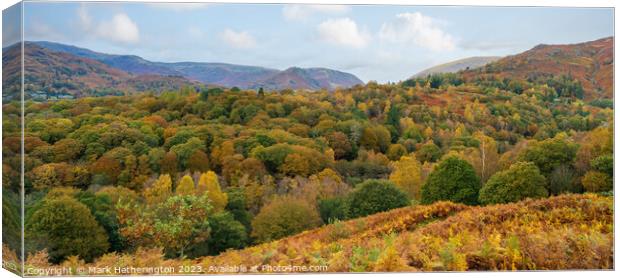 Autumn Gold Canvas Print by Mark Hetherington