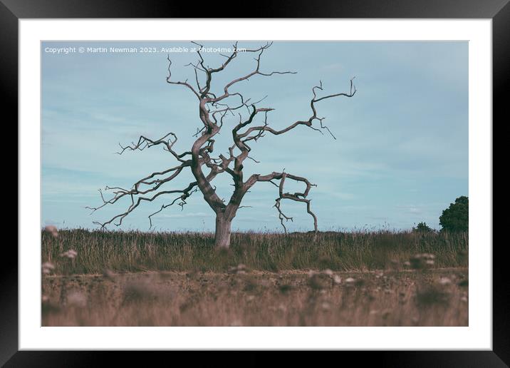 Isolated Tree Framed Mounted Print by Martin Newman