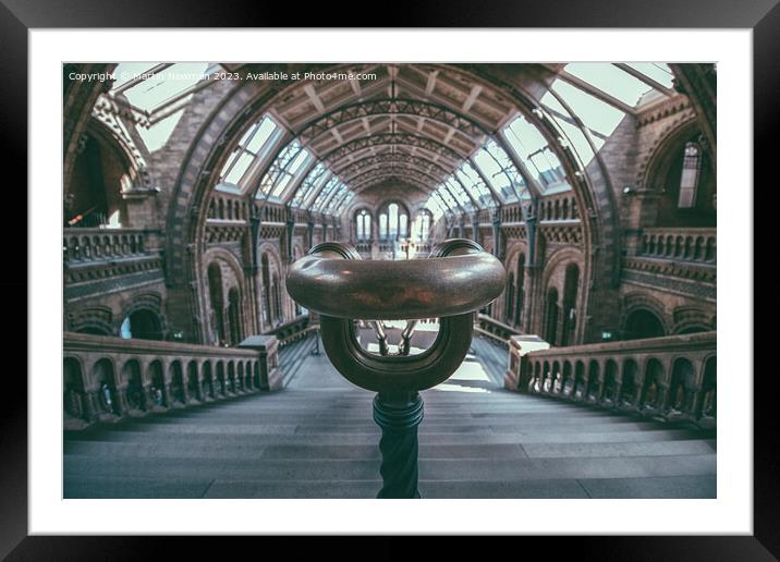 Natural History Museum Framed Mounted Print by Martin Newman