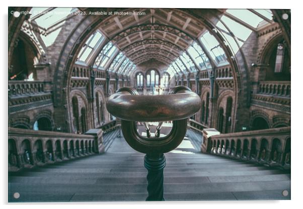 Natural History Museum Acrylic by Martin Newman