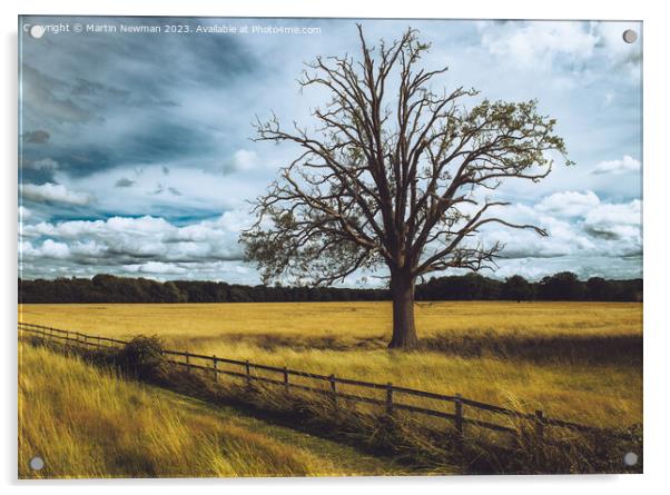 Farmland Suffolk Acrylic by Martin Newman