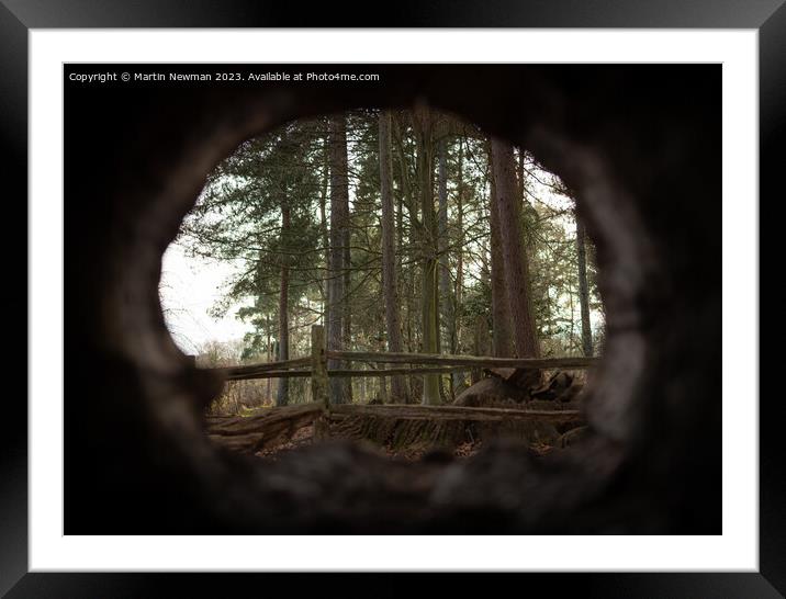 Framed Woodland View Framed Mounted Print by Martin Newman