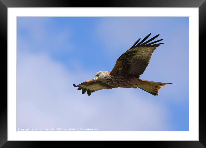 Red Kit in Flight Framed Mounted Print by Andy Critchfield