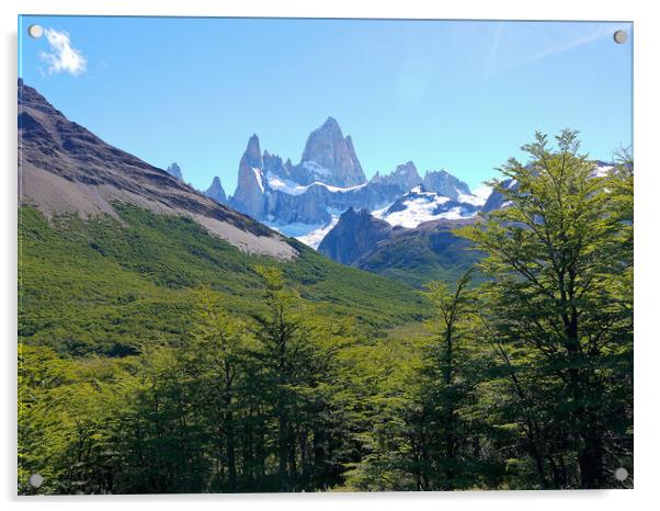 Trekking in Patagonia Acrylic by Steve Painter
