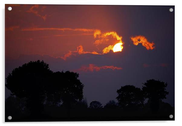 Norfolk Sunset Acrylic by Darren Burroughs