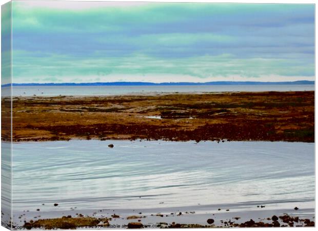 Low Tide  Canvas Print by Stephanie Moore