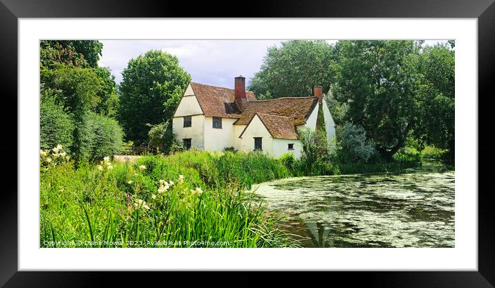 Willy Lotts House Panoramic Framed Mounted Print by Diana Mower