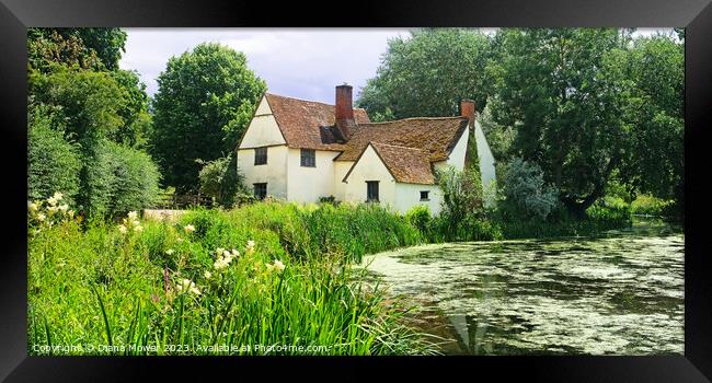 Willy Lotts House Panoramic Framed Print by Diana Mower