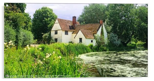 Willy Lotts House Panoramic Acrylic by Diana Mower