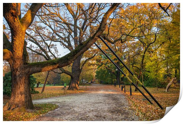 Tree Branch Support In Park Print by Artur Bogacki