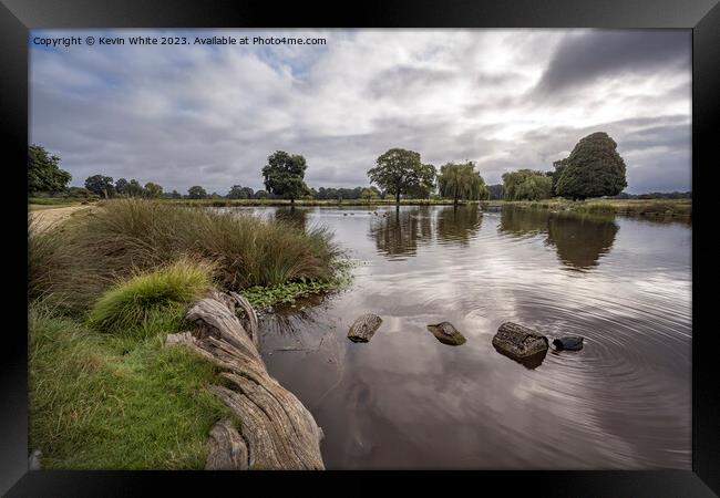 Bushy Park a magical place Framed Print by Kevin White