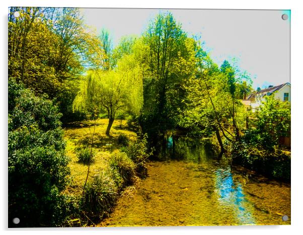 River Granta at Linton Acrylic by Simon Hill