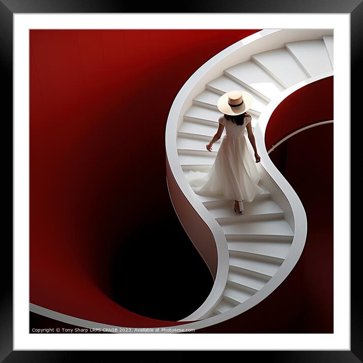 ELEGANCE ON THE STAIRCASE Framed Mounted Print by Tony Sharp LRPS CPAGB