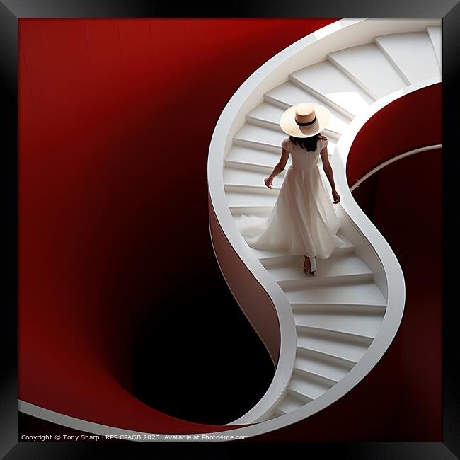 ELEGANCE ON THE STAIRCASE Framed Print by Tony Sharp LRPS CPAGB