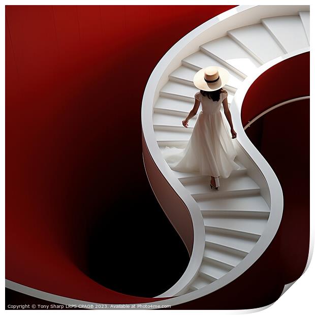 ELEGANCE ON THE STAIRCASE Print by Tony Sharp LRPS CPAGB