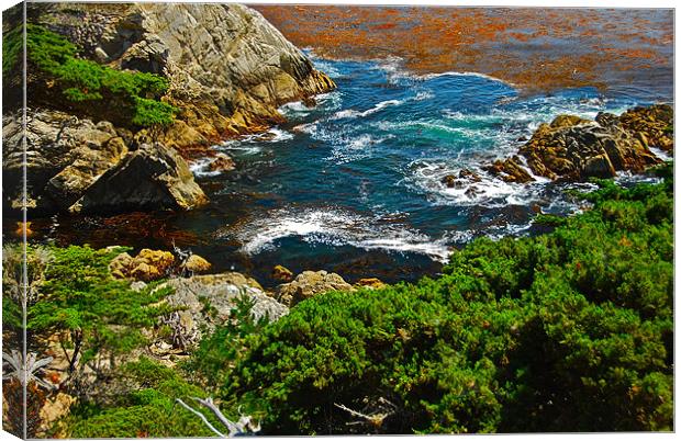 pacific ocean alcove Canvas Print by Jonah Anderson Photography
