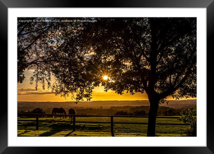 At Day's End Framed Mounted Print by Sue Knight