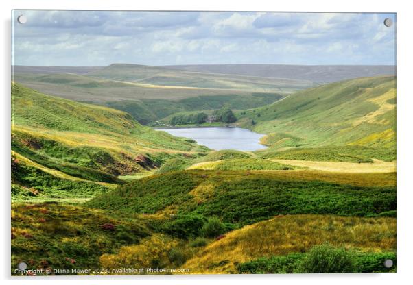  Yorkshire Dales and  Wessenden Reservoir  Acrylic by Diana Mower