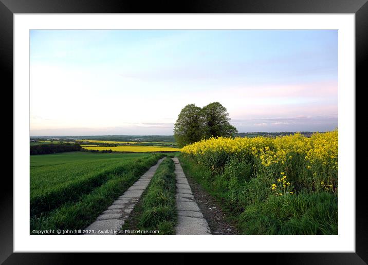 Rapeseed, Scarsdale hall estate, Derbyshire. Framed Mounted Print by john hill