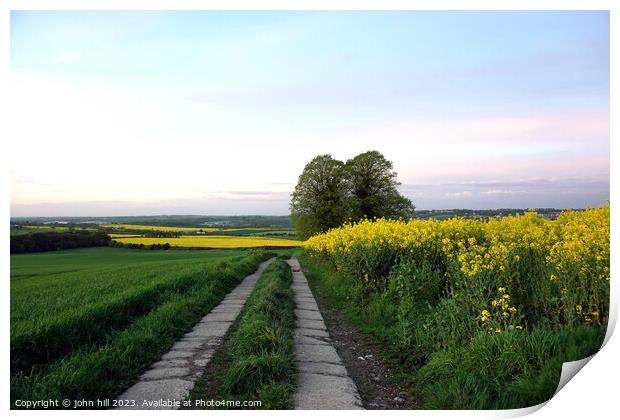 Rapeseed, Scarsdale hall estate, Derbyshire. Print by john hill