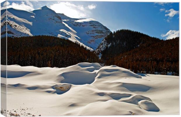 Frozen Splendour: Canada's Icefields Parkway Canvas Print by Andy Evans Photos