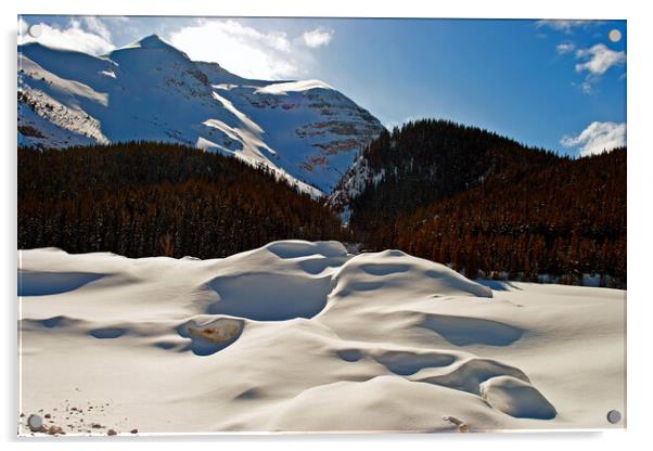 Frozen Splendour: Canada's Icefields Parkway Acrylic by Andy Evans Photos