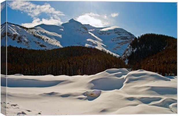 'Canadian Rockies: A Frozen Wonderland' Canvas Print by Andy Evans Photos
