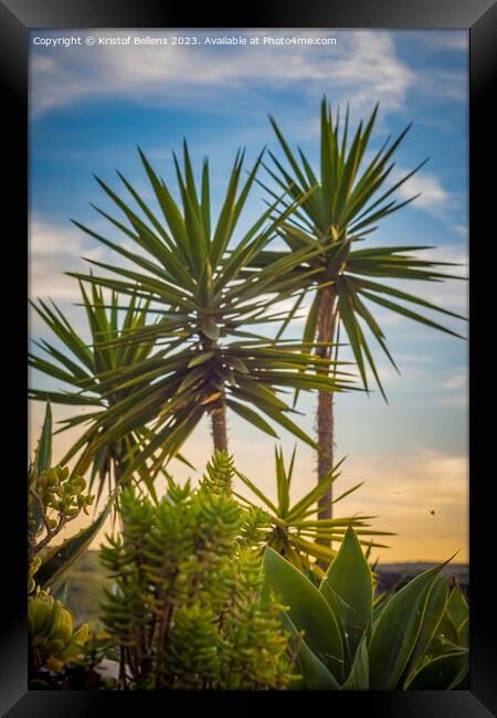 Vertical shot of tropical palm trees and plants during sunset in Lanzarote Framed Print by Kristof Bellens