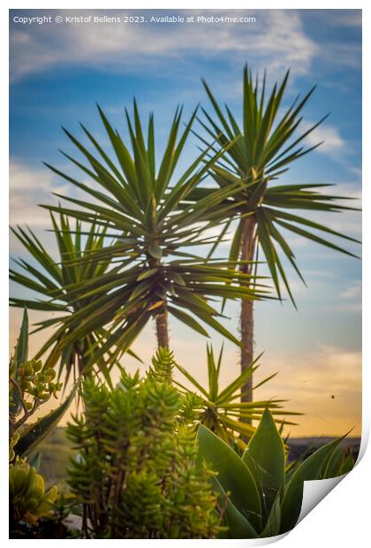 Vertical shot of tropical palm trees and plants during sunset in Lanzarote Print by Kristof Bellens