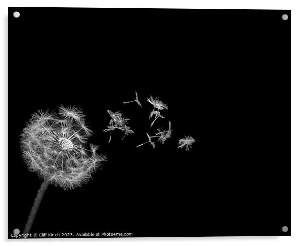 Dandelion's Whispering Flight Acrylic by Cliff Kinch