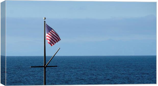 Coastal view with American flag Canvas Print by Lensw0rld 