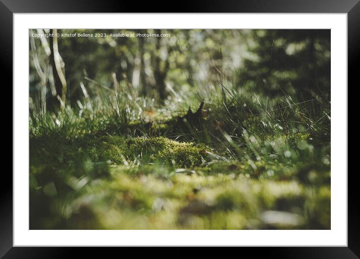 Low angle shot of moss field and grass surface in the forest. Framed Mounted Print by Kristof Bellens