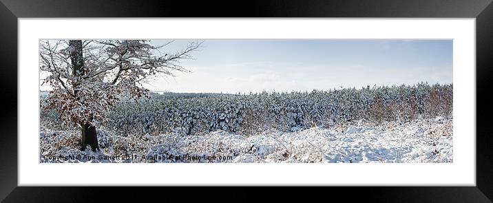 Winter Panorama Framed Mounted Print by Ann Garrett