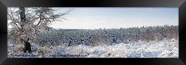 Winter Panorama Framed Print by Ann Garrett