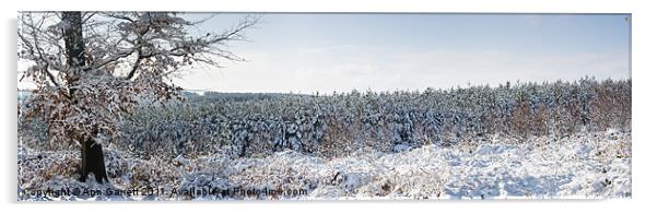 Winter Panorama Acrylic by Ann Garrett