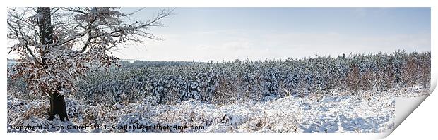 Winter Panorama Print by Ann Garrett