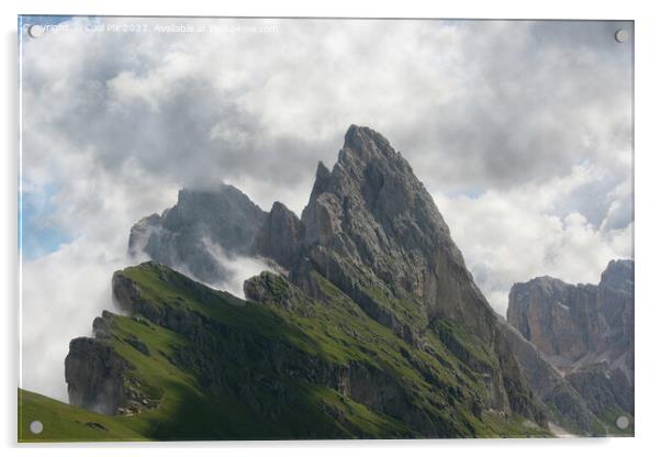 Walk through Italian Dolomites Acrylic by Arun 