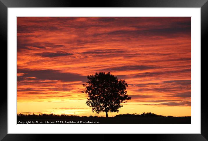 tree silhouette at sunrise Framed Mounted Print by Simon Johnson