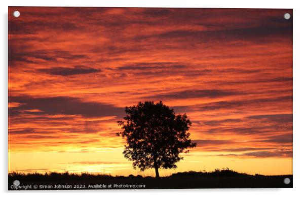 tree silhouette at sunrise Acrylic by Simon Johnson