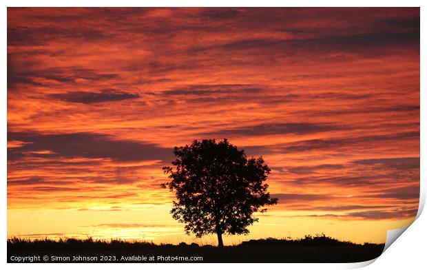 tree silhouette at sunrise Print by Simon Johnson