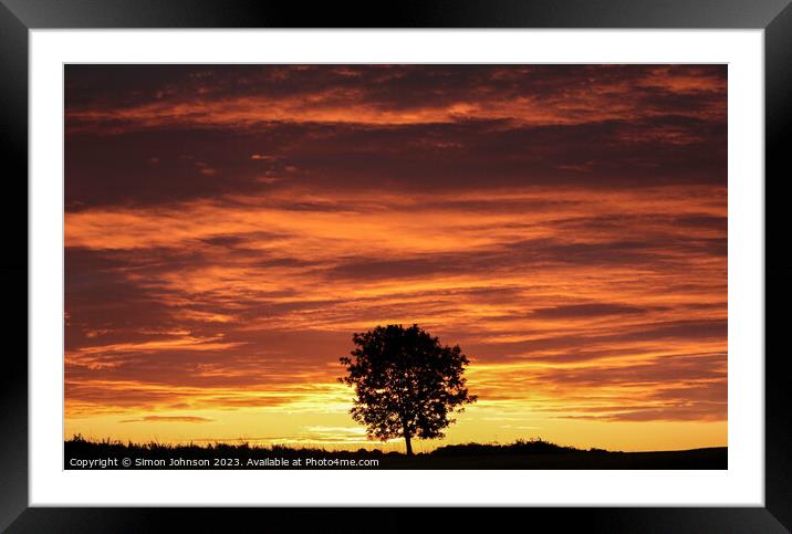 Tree Silhouette at Sunrise Framed Mounted Print by Simon Johnson