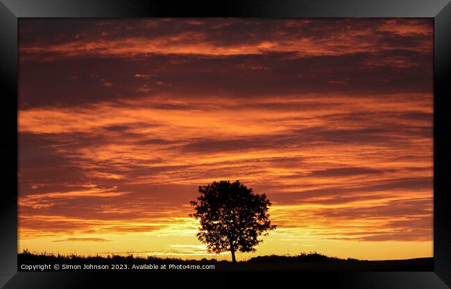 Tree Silhouette at Sunrise Framed Print by Simon Johnson