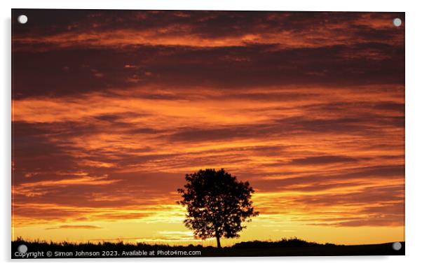 Tree Silhouette at Sunrise Acrylic by Simon Johnson