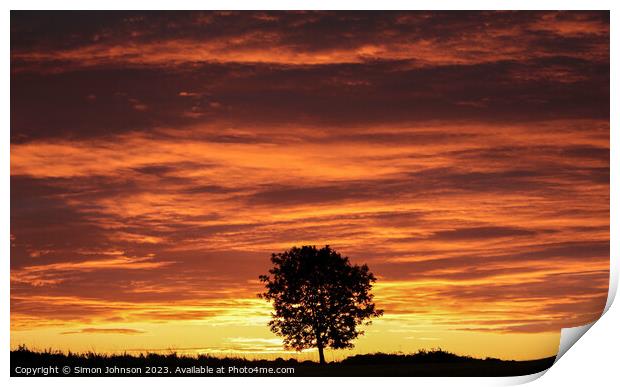 Tree Silhouette at Sunrise Print by Simon Johnson