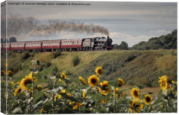 Steam trains and sunflower fields  Canvas Print by Duncan Savidge