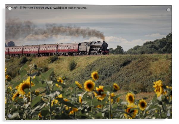 Steam trains and sunflower fields  Acrylic by Duncan Savidge
