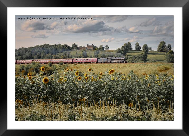 Steam trains and sunflower fields  Framed Mounted Print by Duncan Savidge